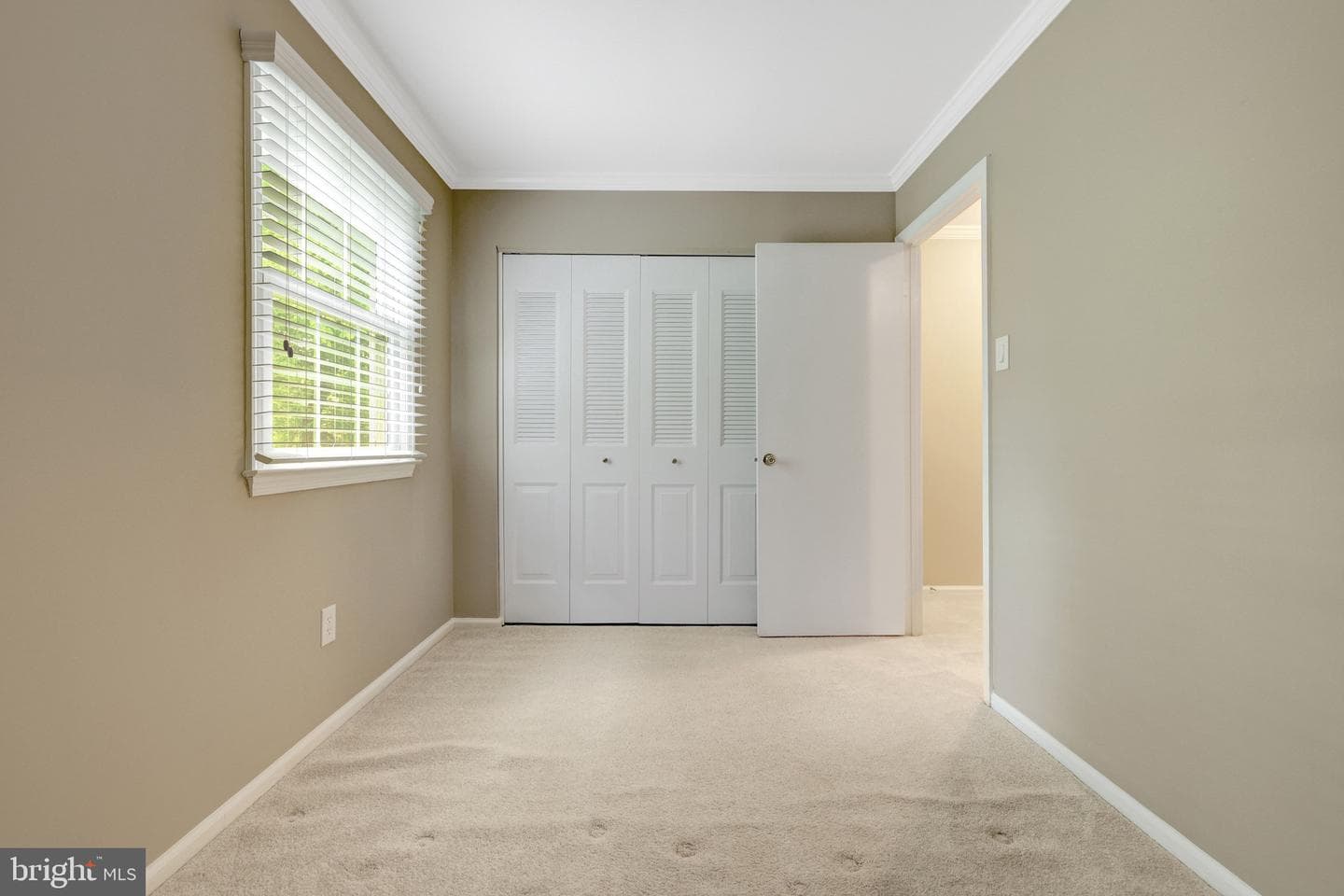 4750 Carterwood Drive photo 37