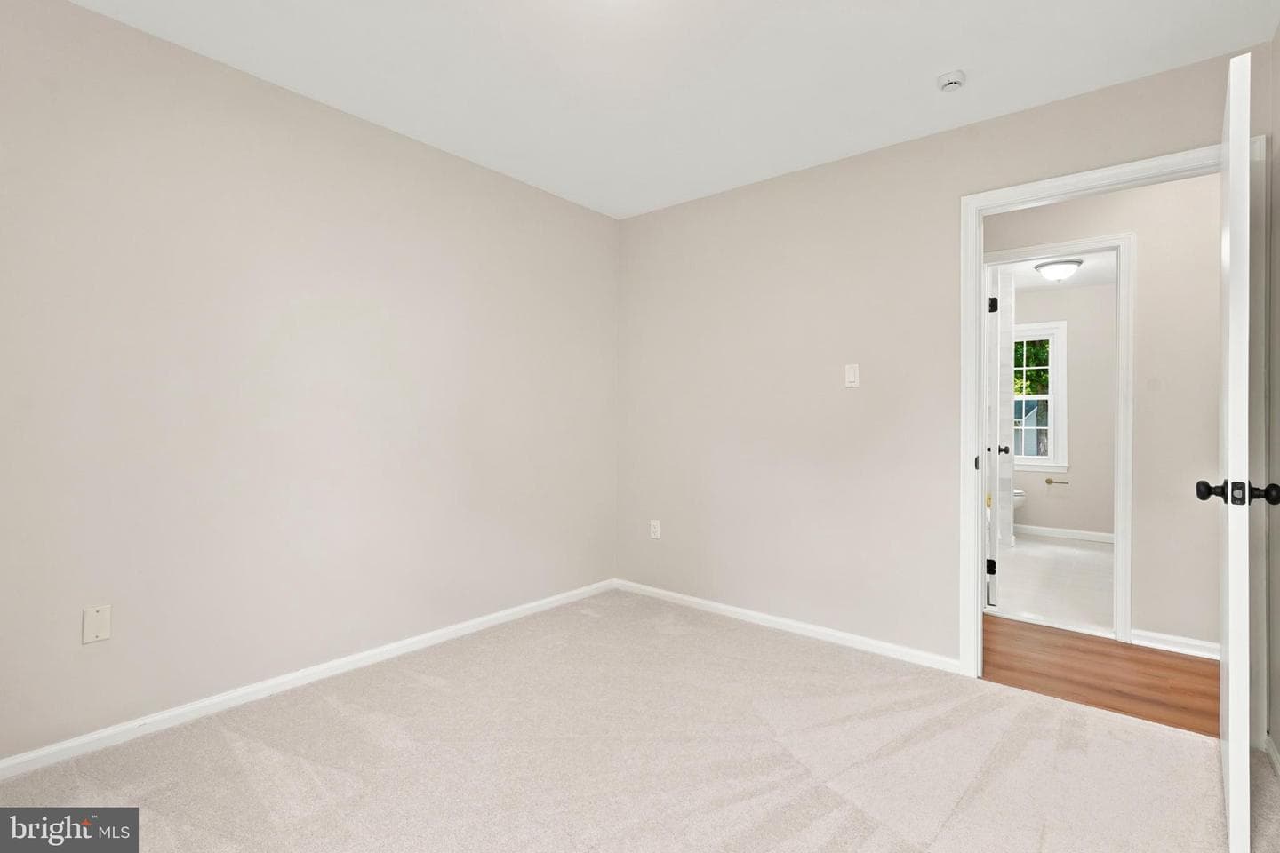 9903 Rand Drive photo 22