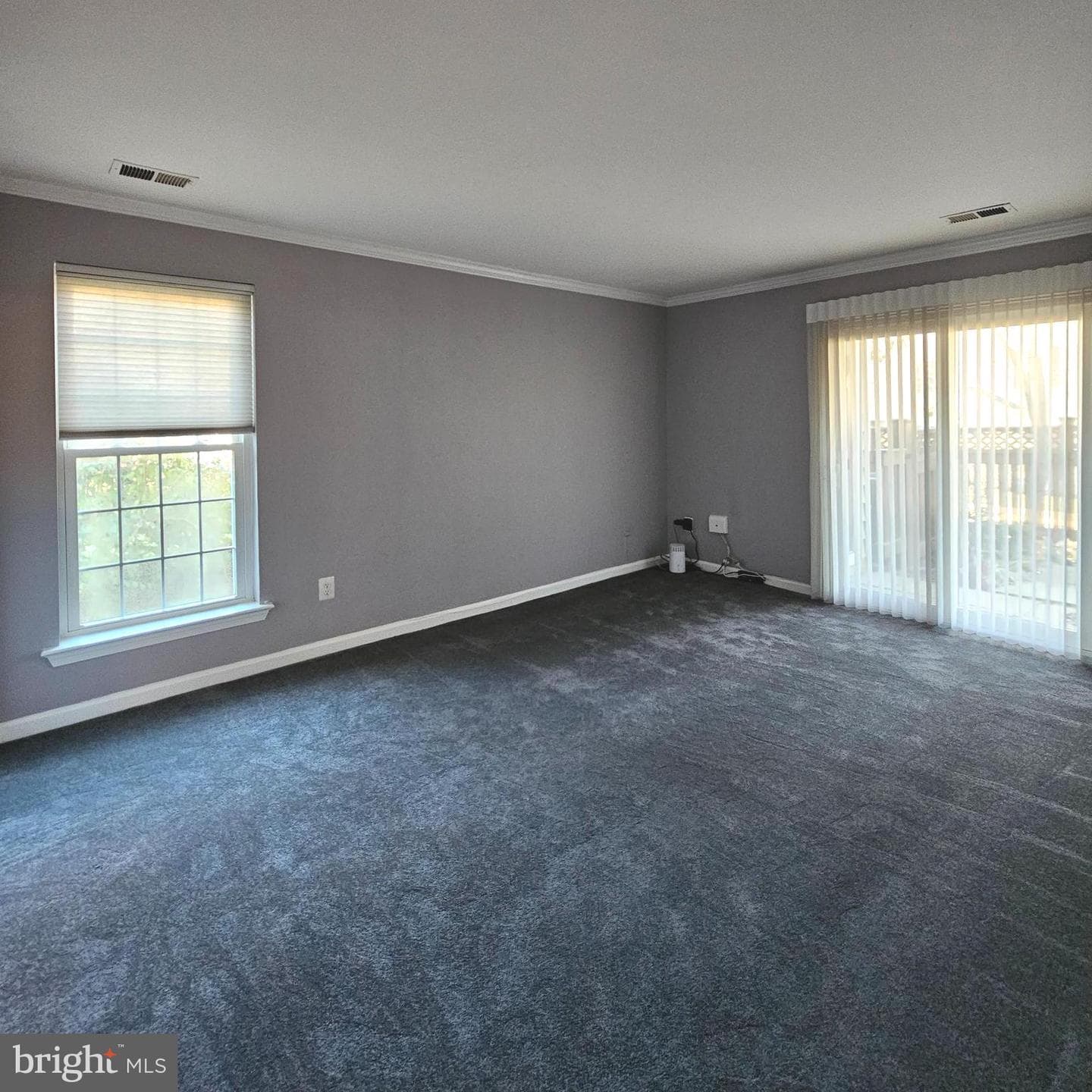 6900 Keyser Way #6900a photo 11