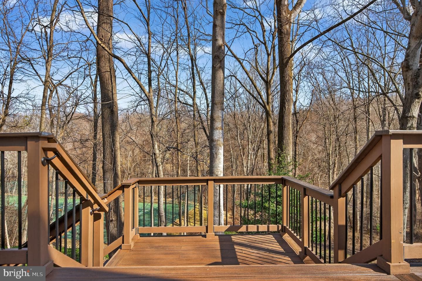10223 Cedar Pond Drive photo 36