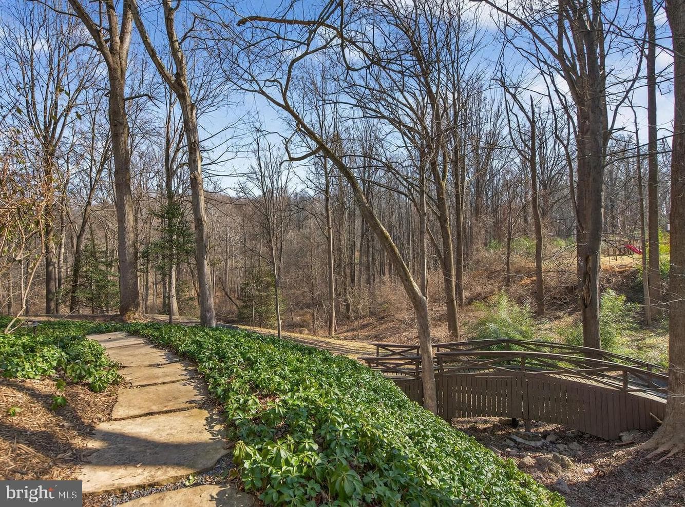 10223 Cedar Pond Drive photo 37
