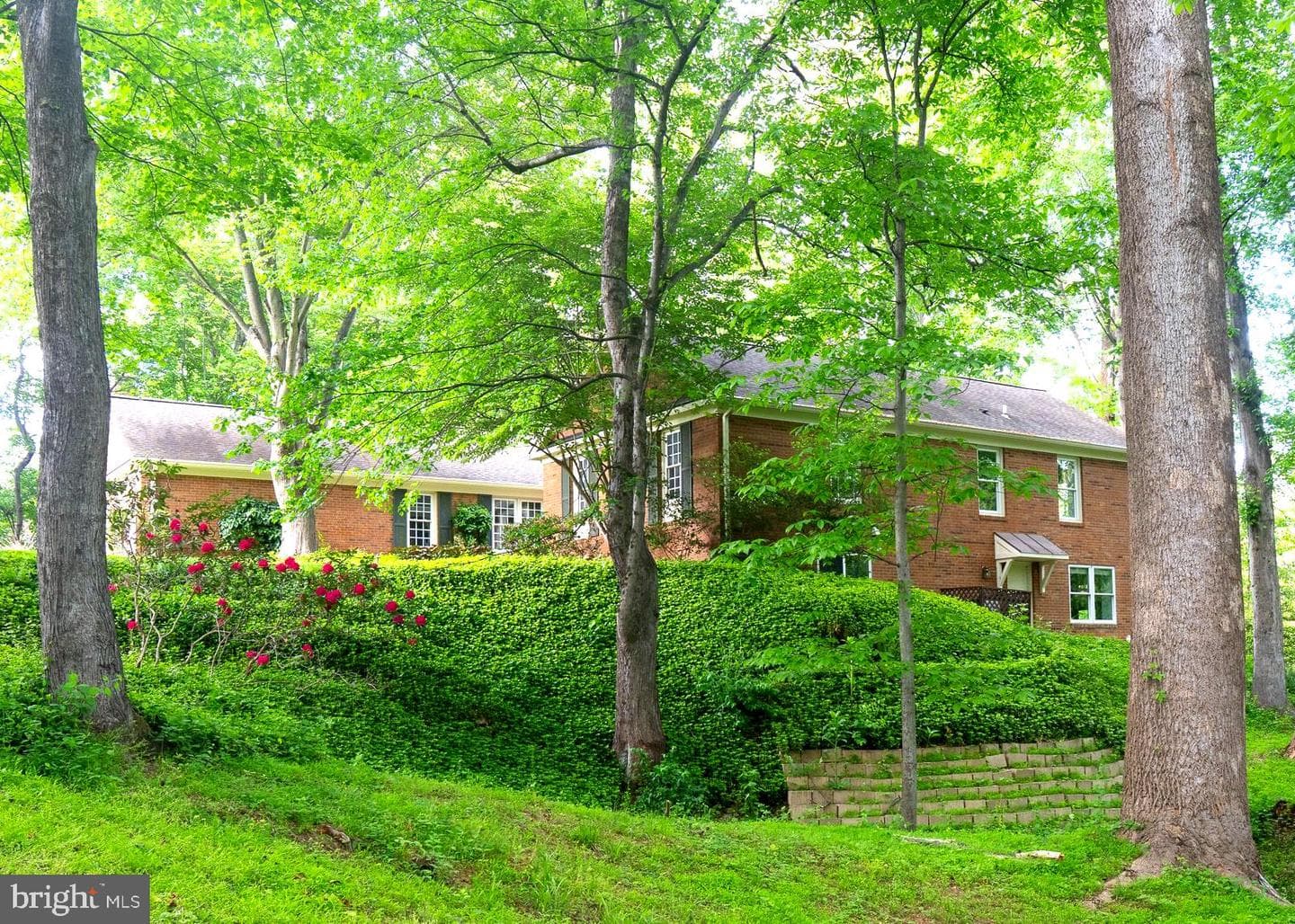 10223 Cedar Pond Drive photo 54