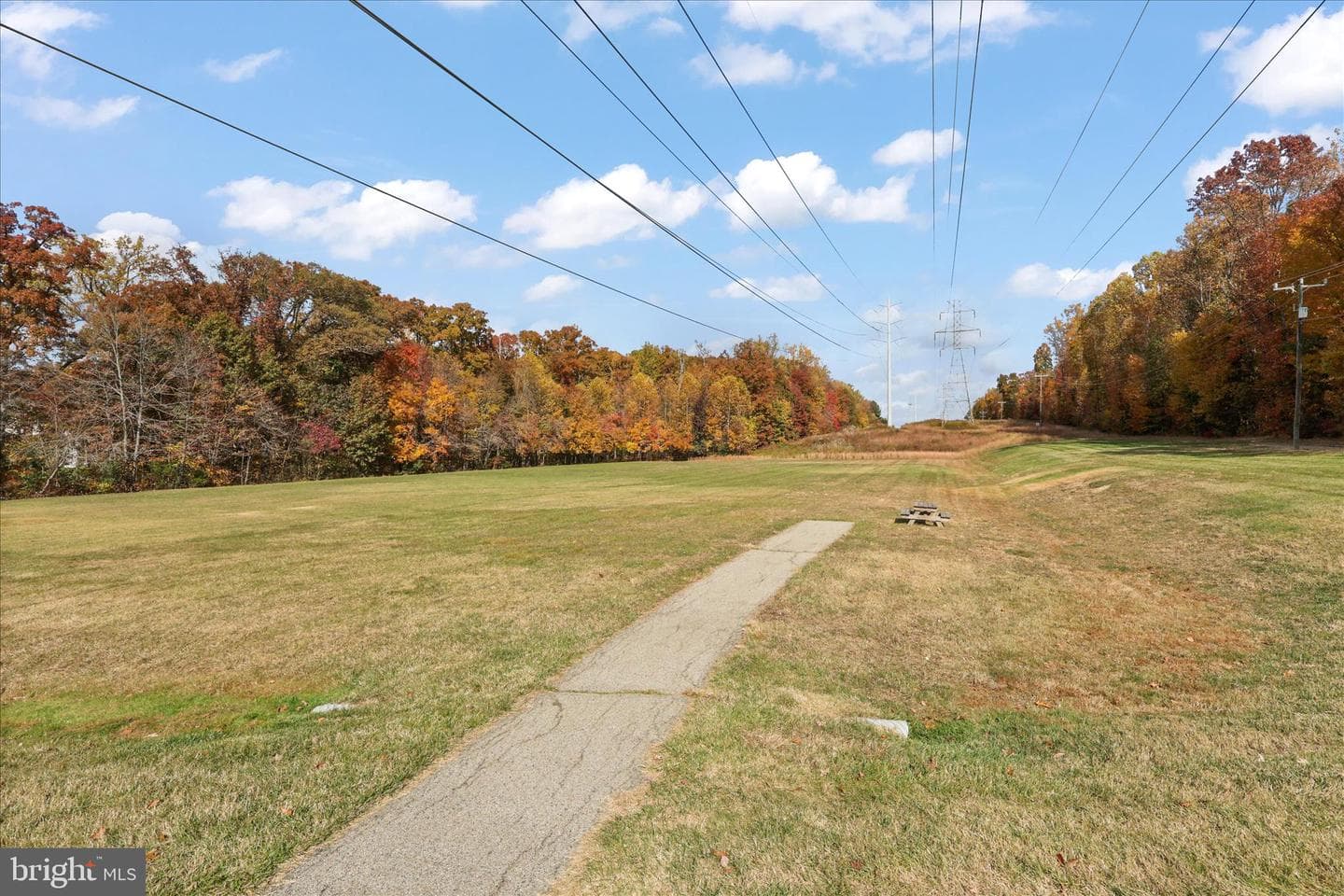 8521 Century Oak Court photo 45