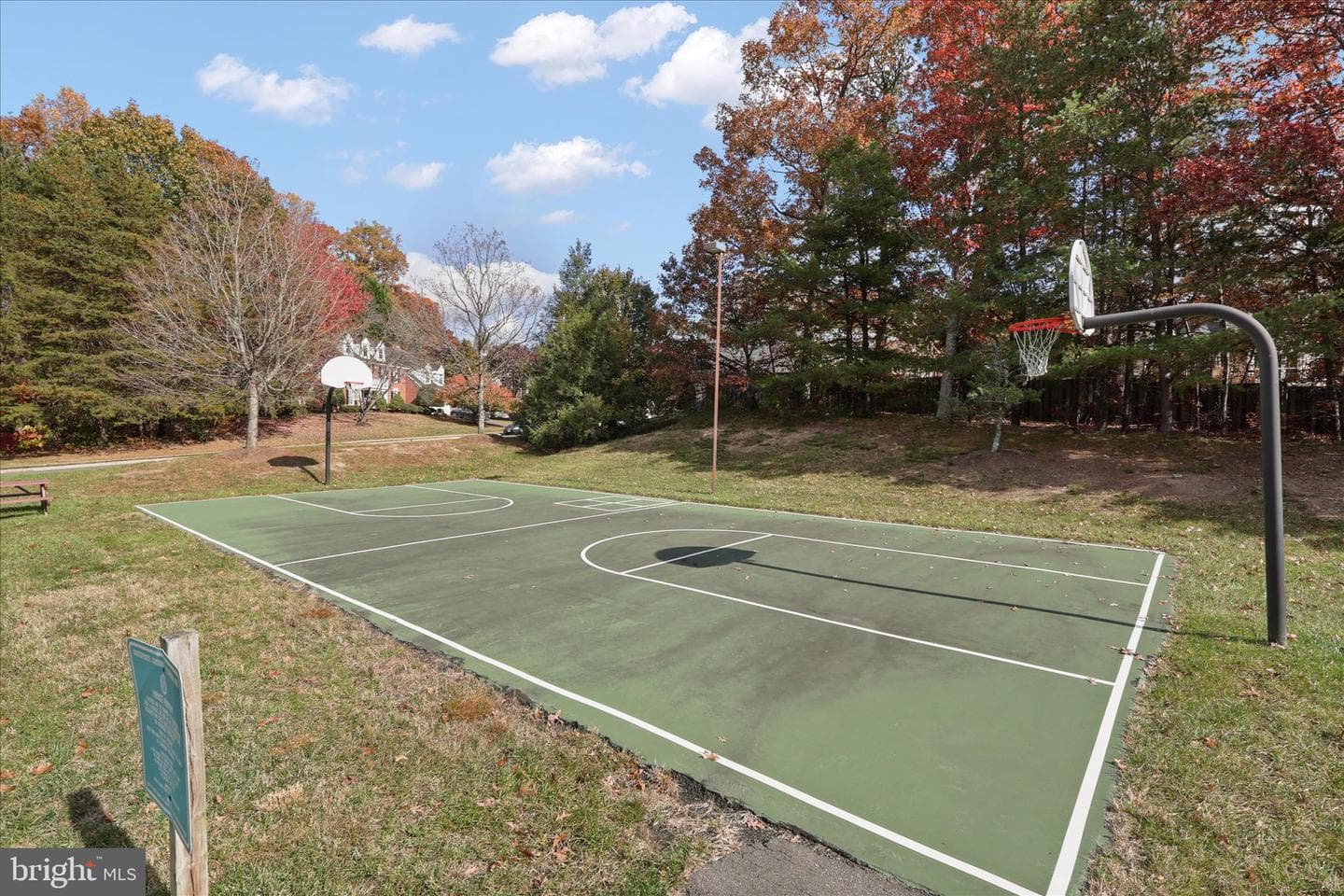 8521 Century Oak Court photo 48