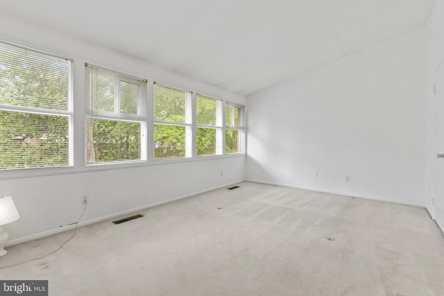 4420 Forest Glen Court photo 20