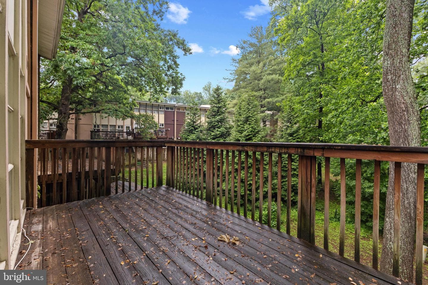 4420 Forest Glen Court photo 4