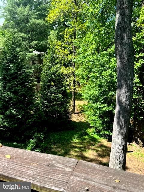 4420 Forest Glen Court photo 5