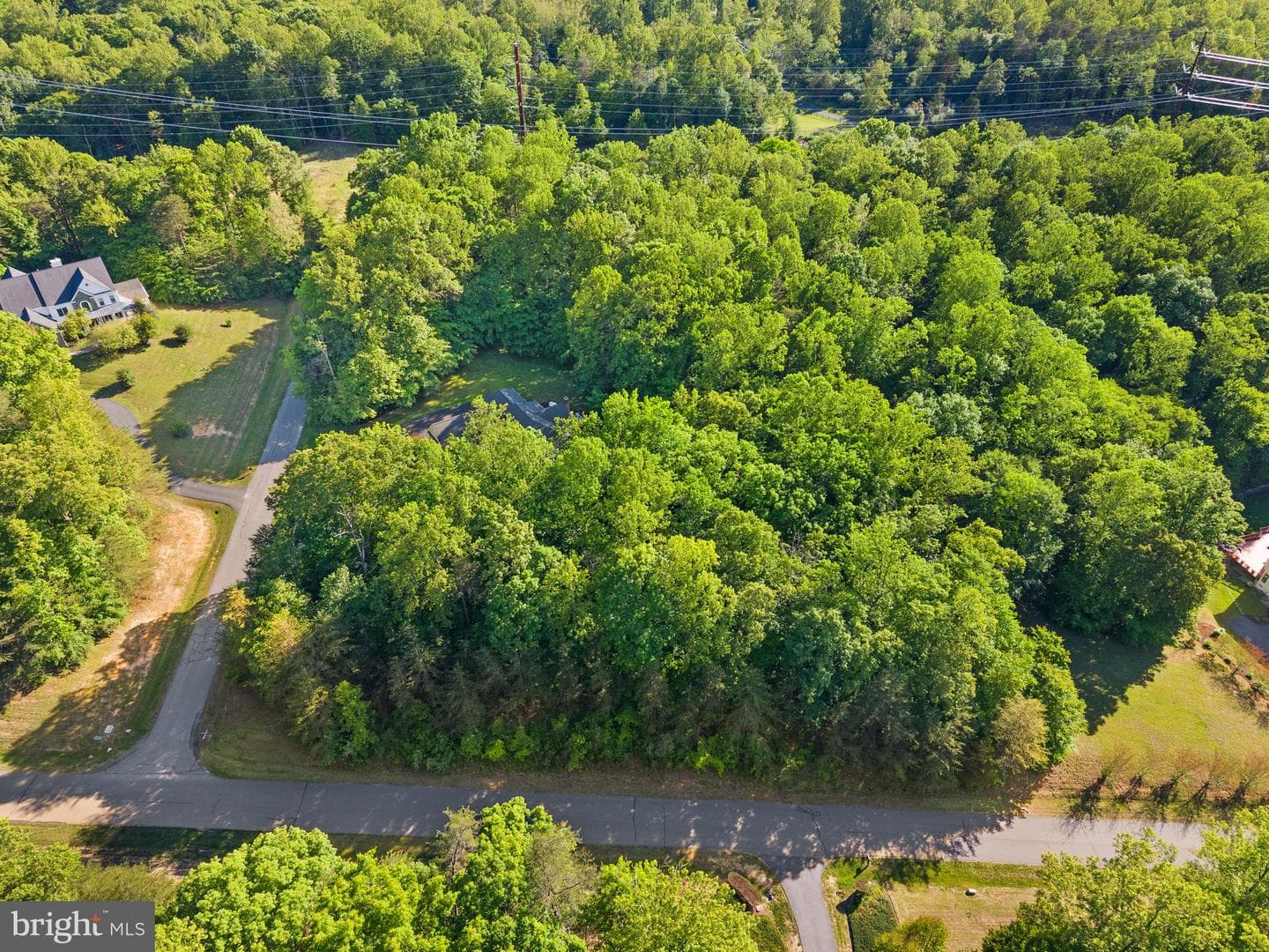 10082 Roseland Ridge Road photo 99