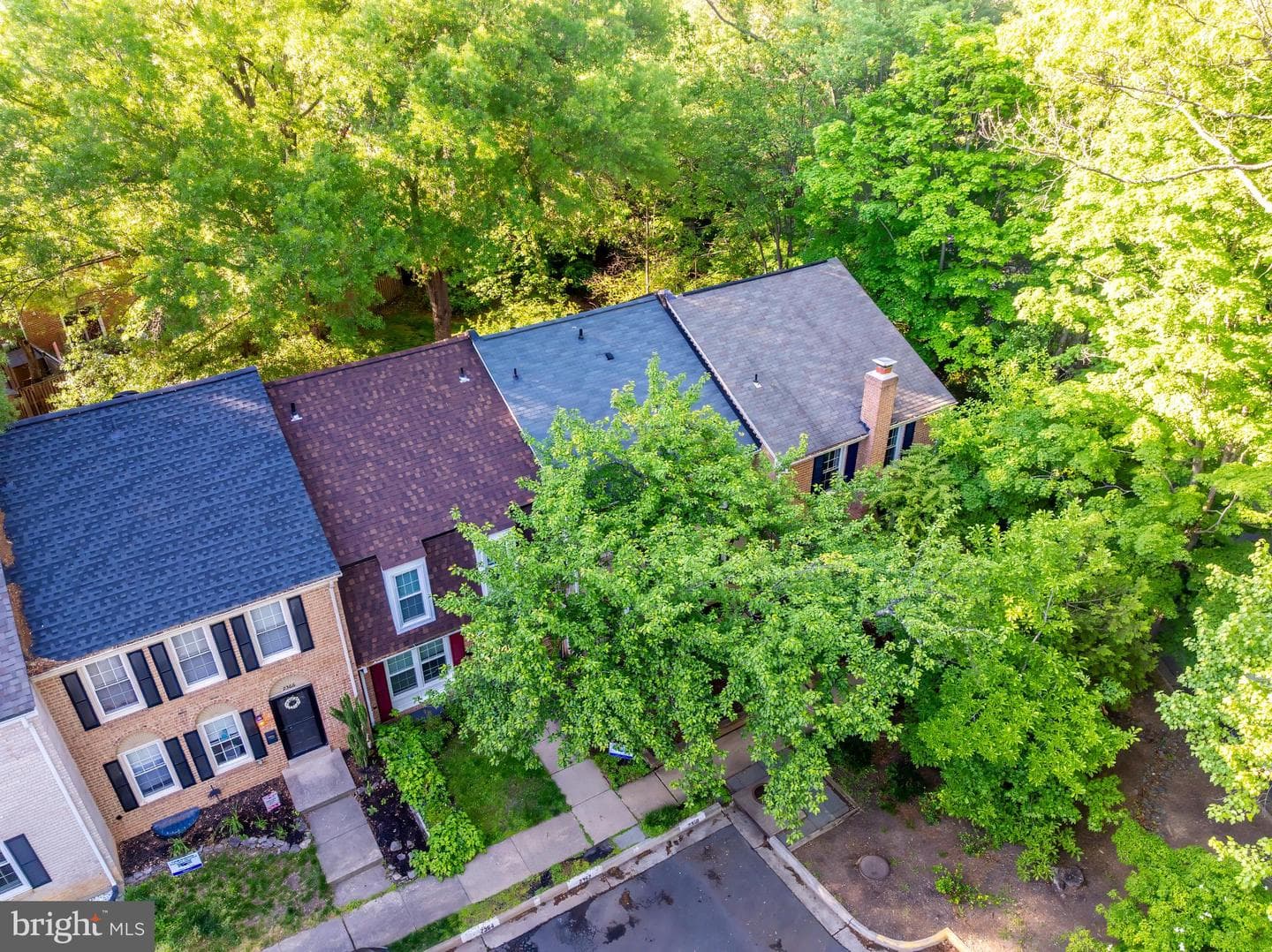 2362 Albot Road photo 4