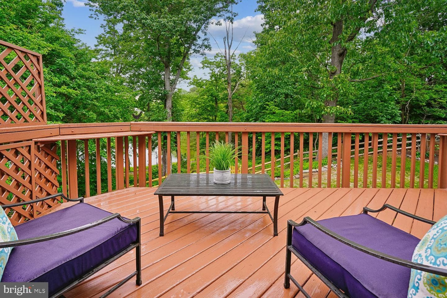 13484 Lake Shore photo 45