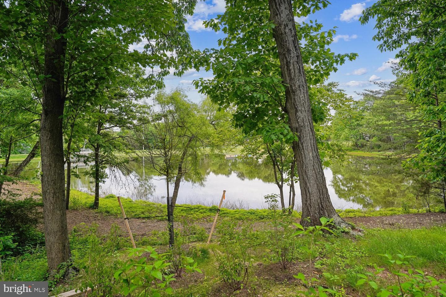 13484 Lake Shore photo 56
