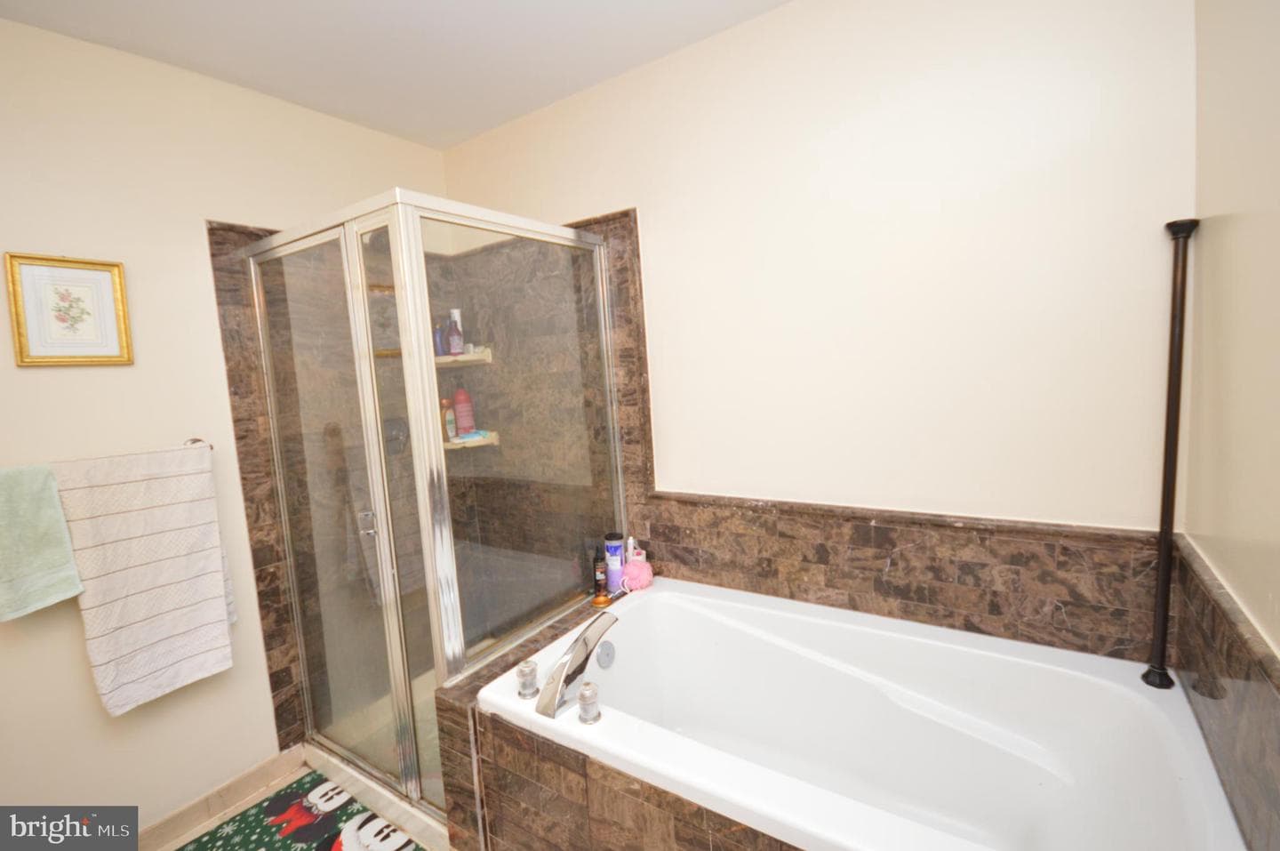 8173 Halley Court photo 24