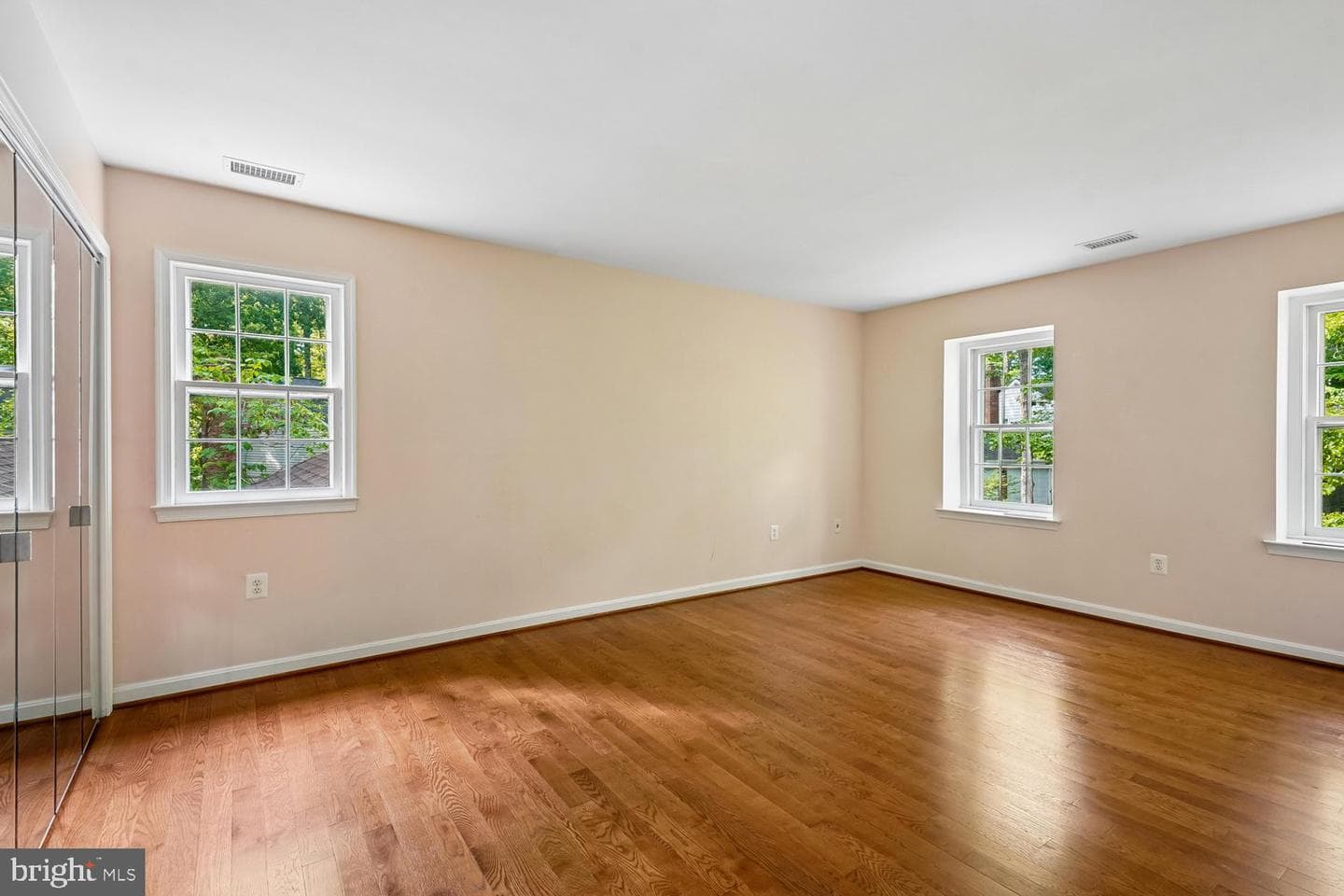 10802 Dayflower Court photo 17