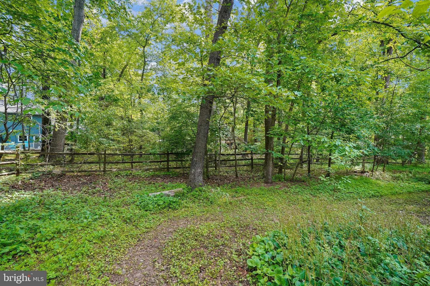10802 Dayflower Court photo 34