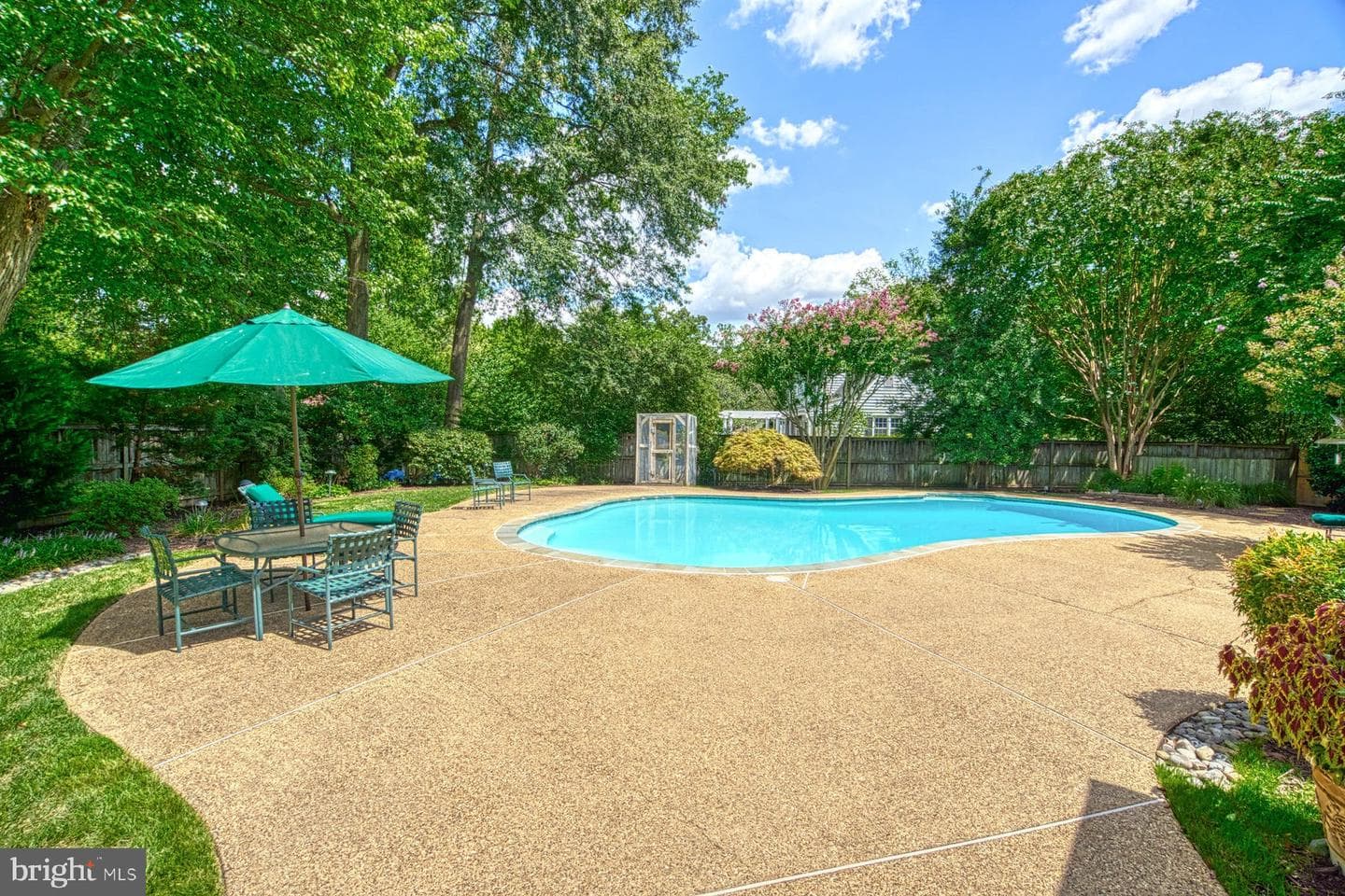 9211 Forest Haven Drive photo 49
