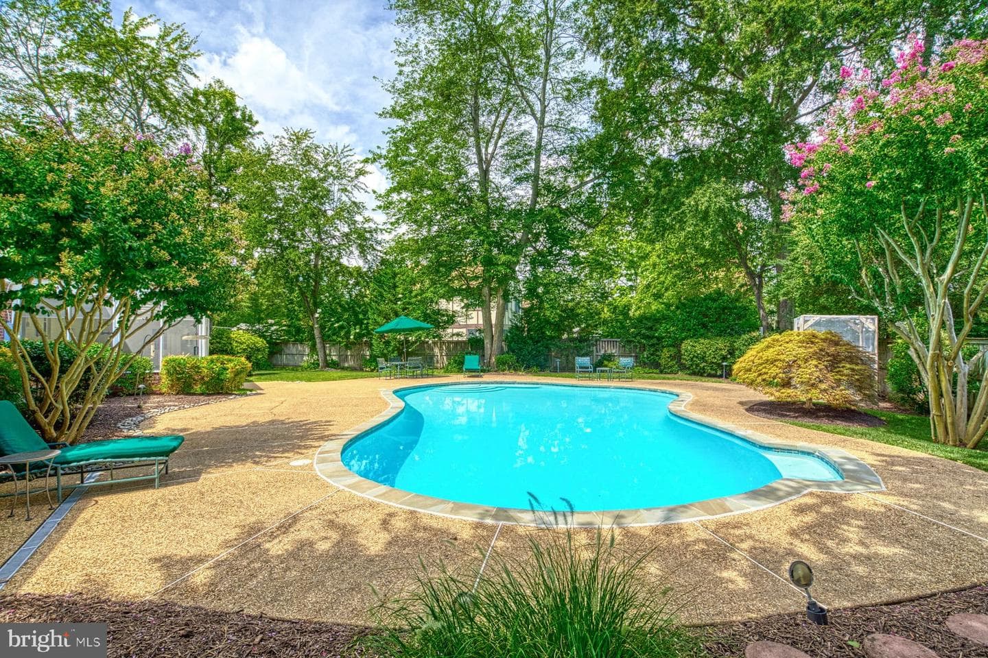 9211 Forest Haven Drive photo 50