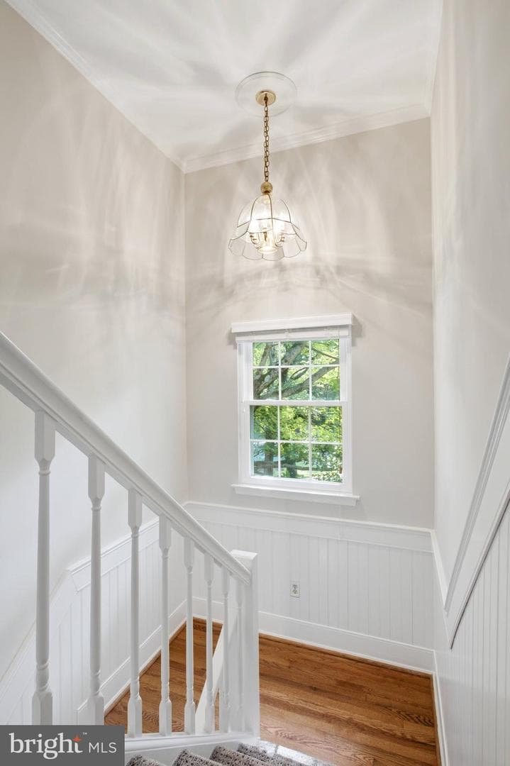 10869 Oak Green Court photo 28
