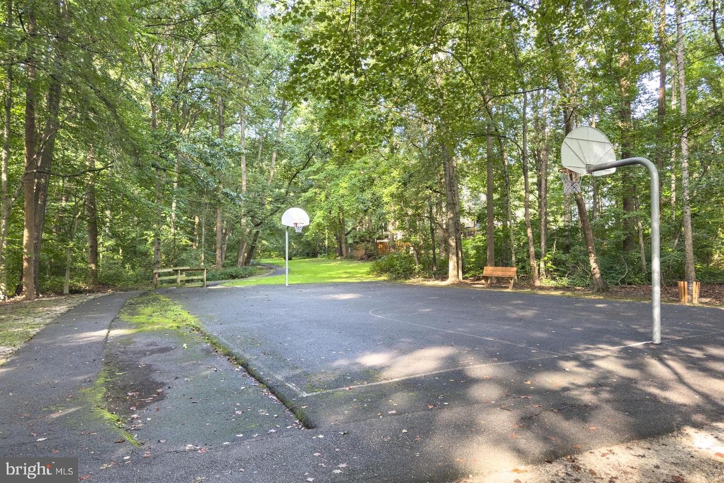 10869 Oak Green Court photo 48