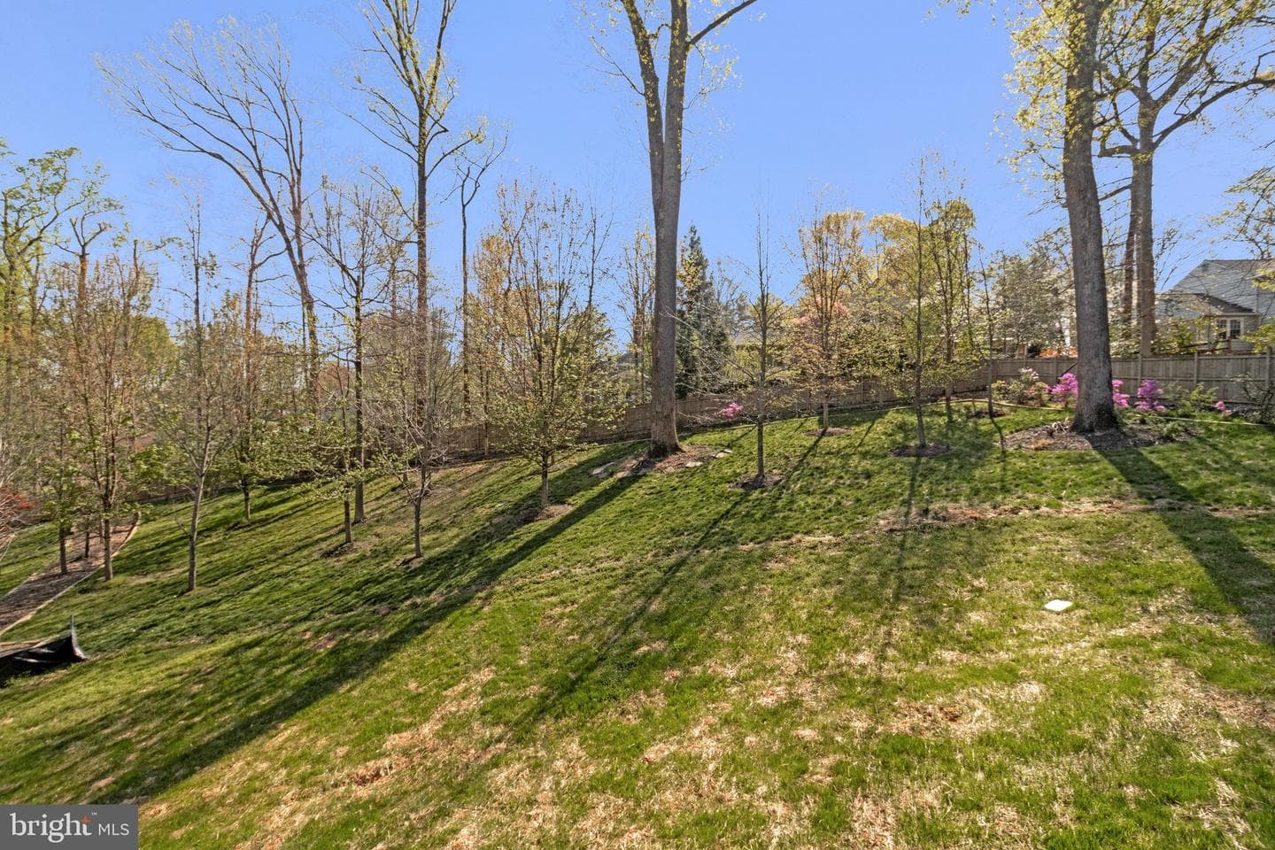 3525 Glenbrook Rd photo 101