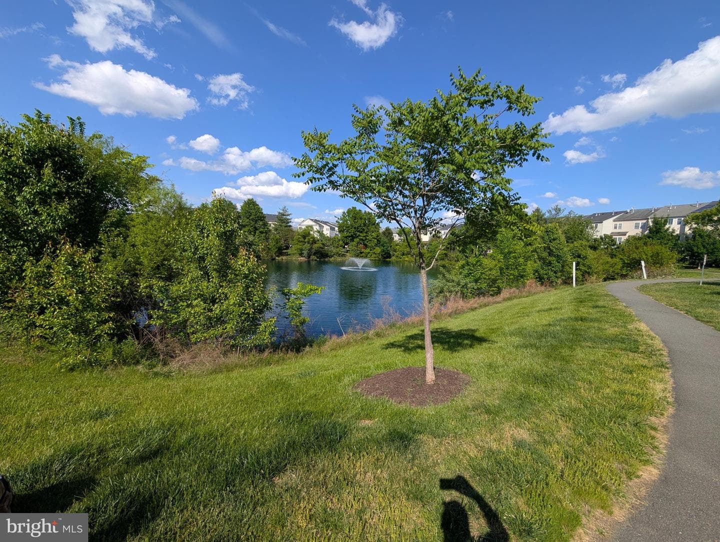 13598 Lavender Mist Lane photo 49