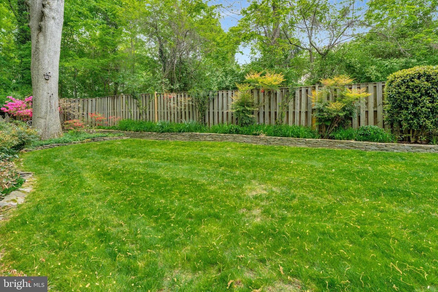 2812 Rosemary Lane photo 14