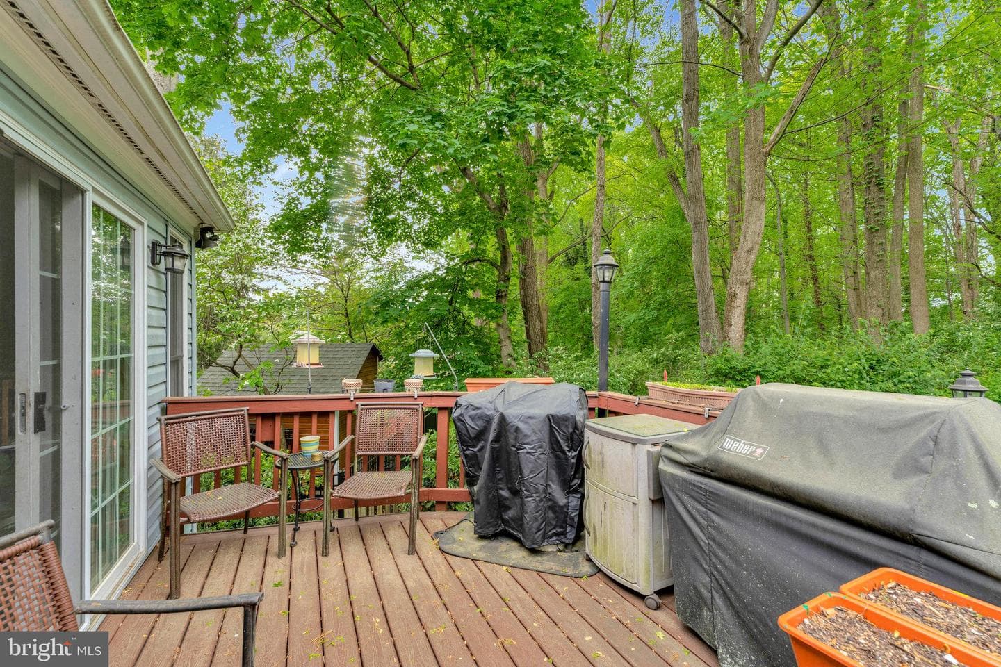 2812 Rosemary Lane photo 20