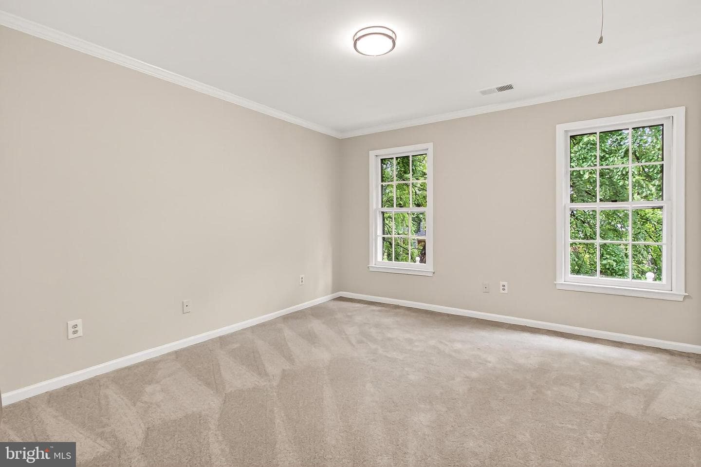 15441 Eagle Tavern Lane photo 50