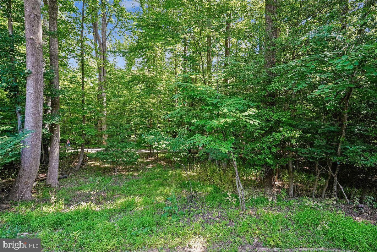 2331 Middle Creek Lane photo 7