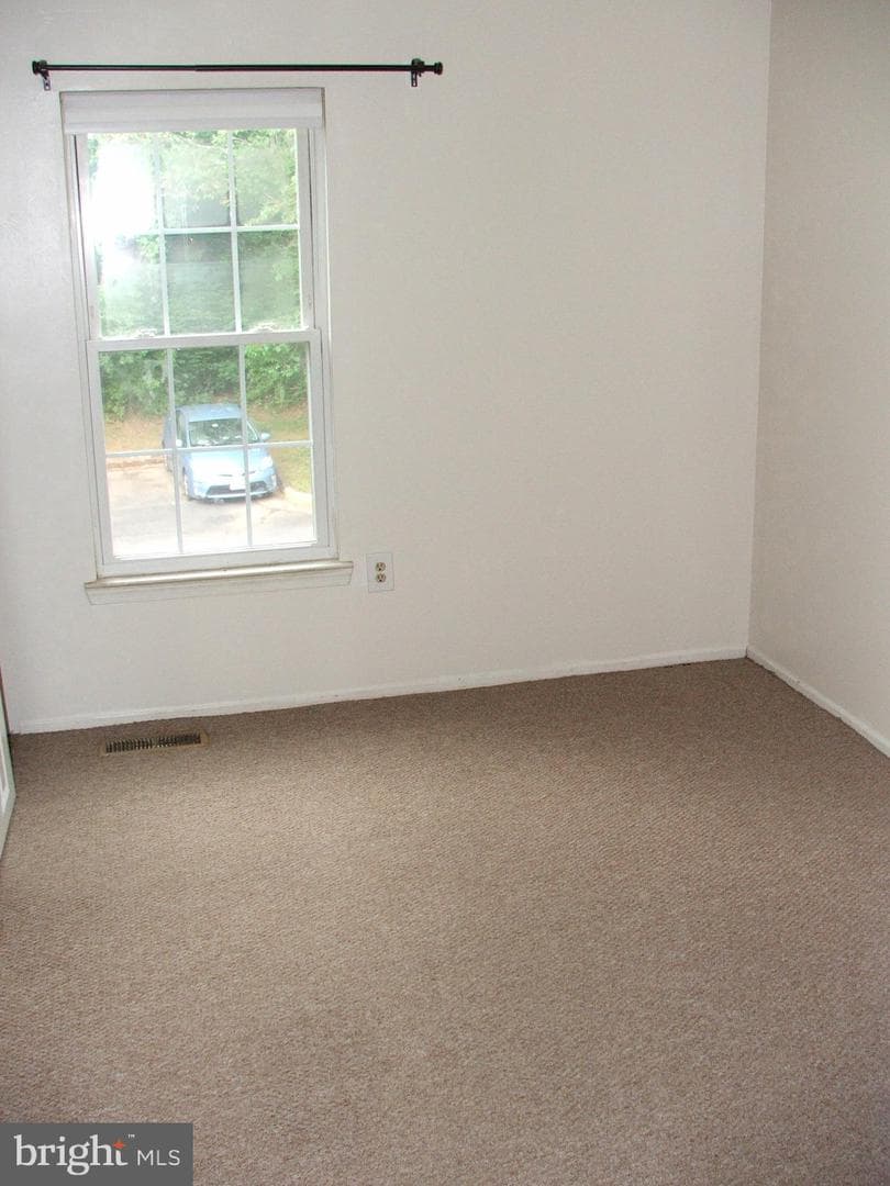 10210 Sassafras Woods Court photo 18