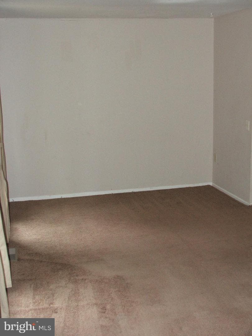 10210 Sassafras Woods Court photo 3