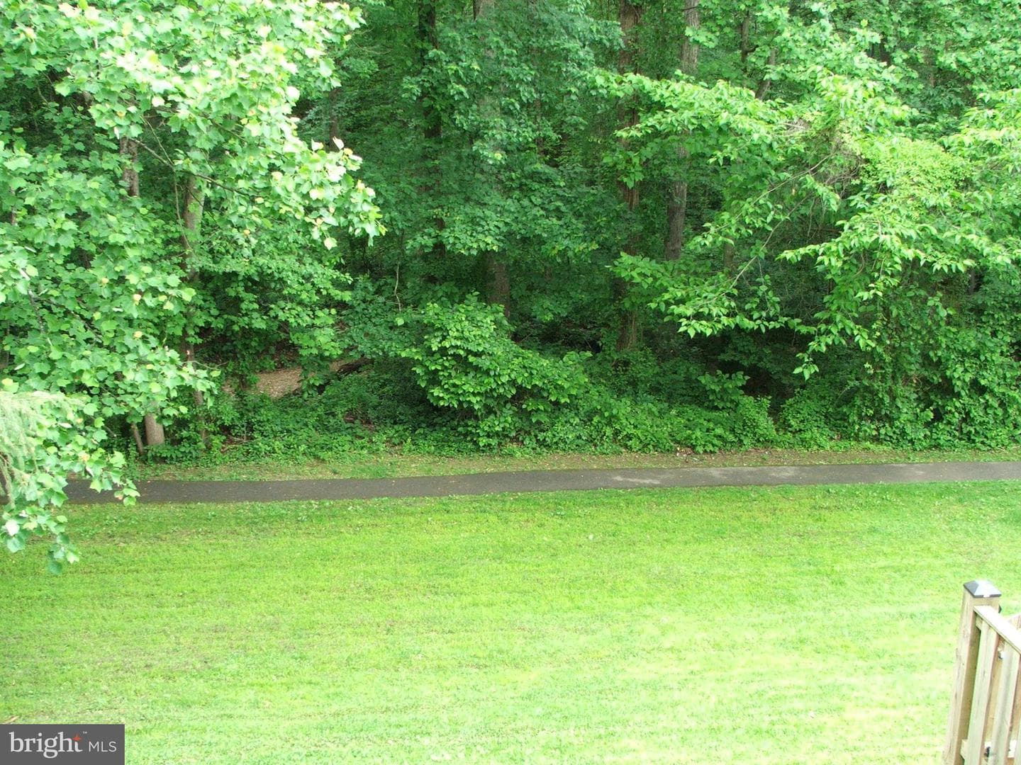 10210 Sassafras Woods Court photo 5