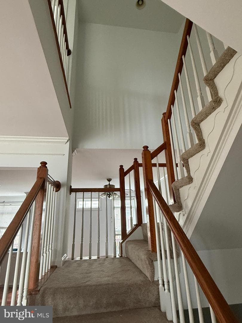 2833 Grace Forest Place photo 16