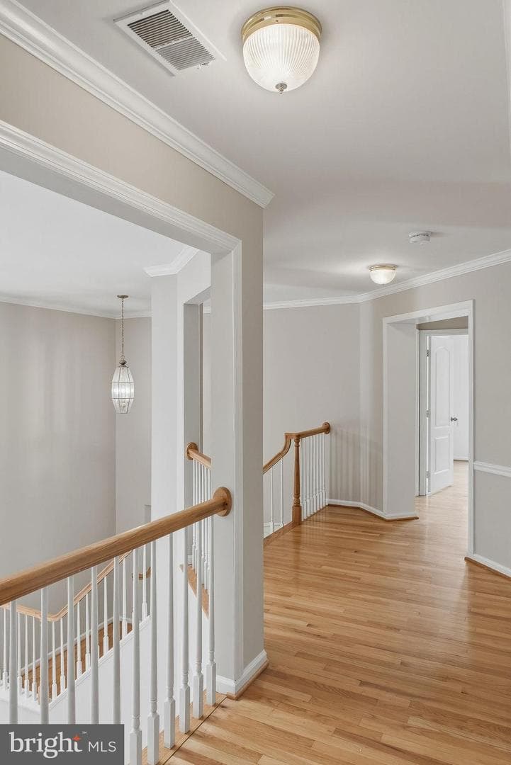 10008 Leamoore Lane photo 46