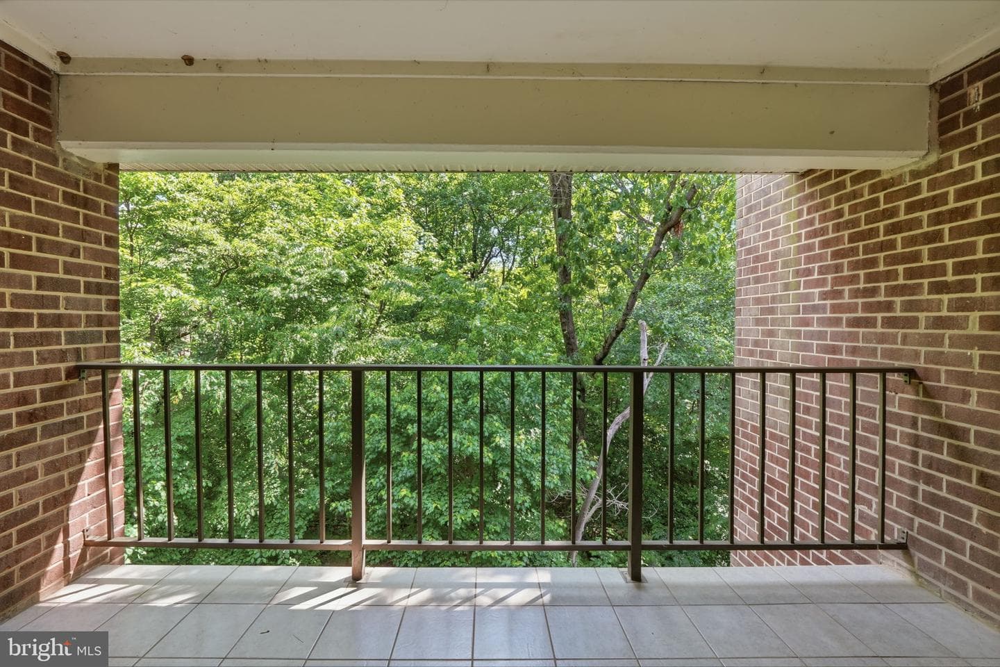 1558 Northgate Square #32b photo 13