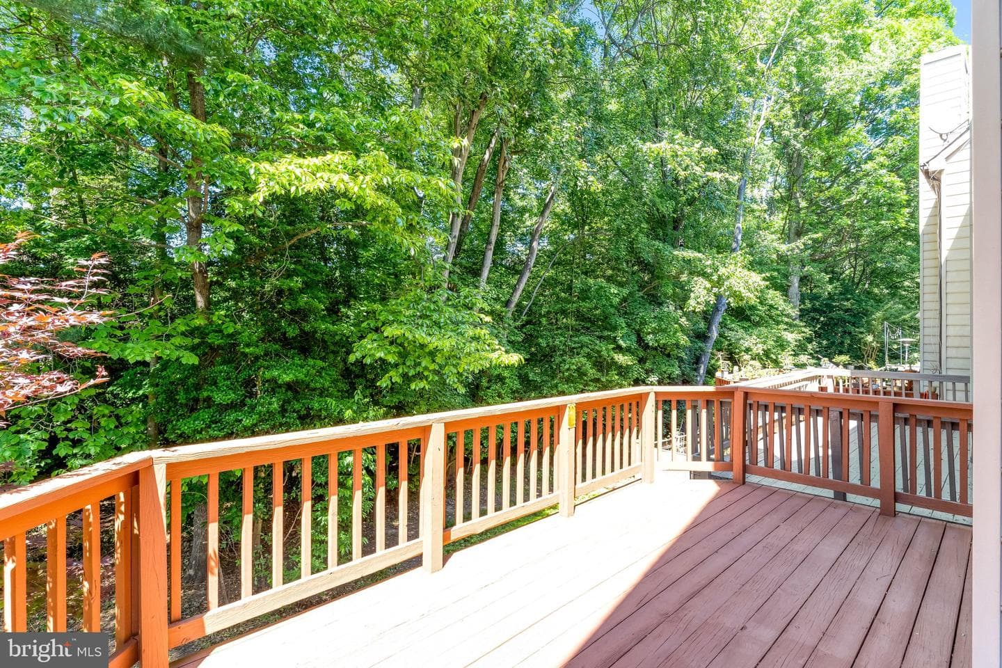 12498 Sweet Leaf Terrace photo 14
