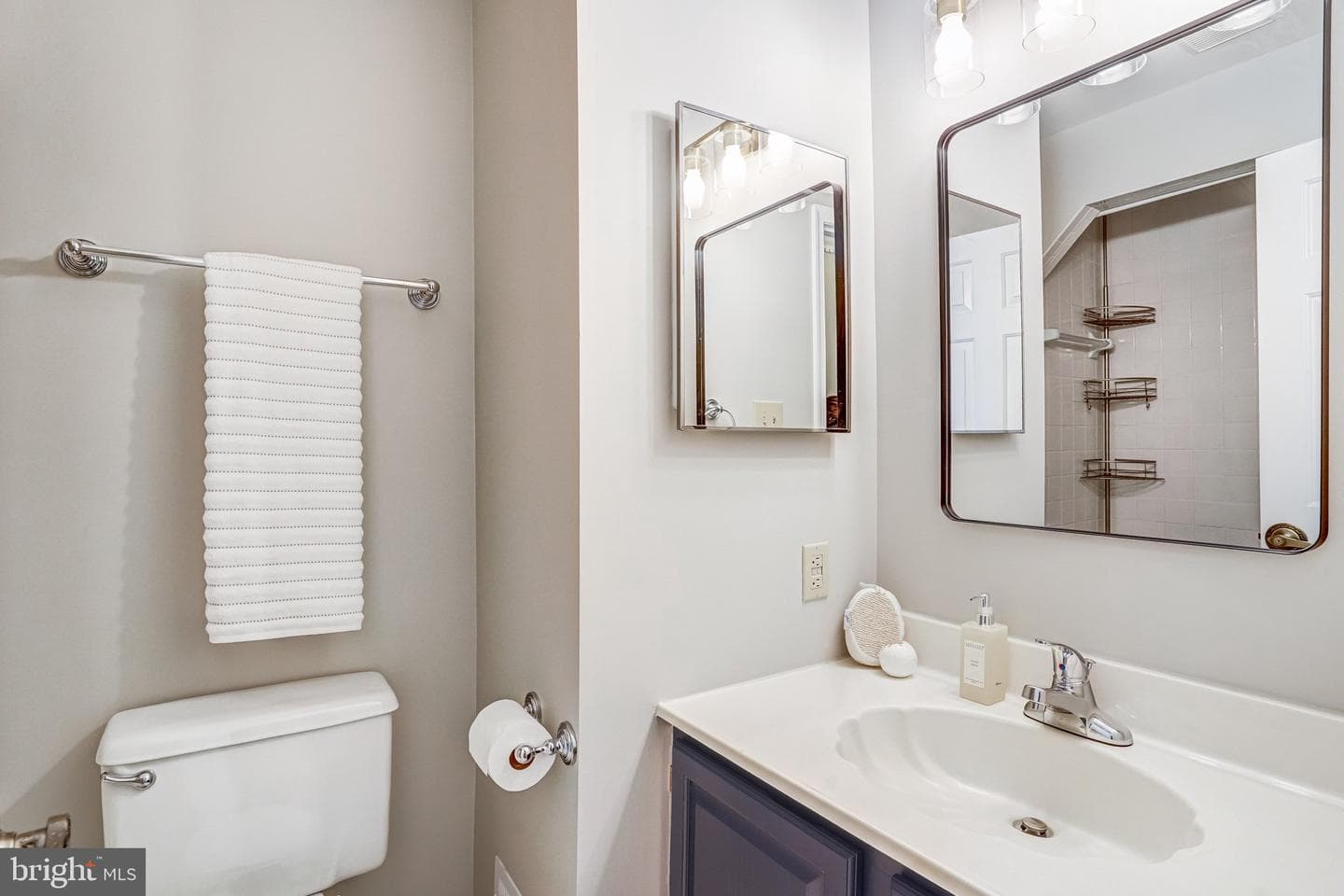 12498 Sweet Leaf Terrace photo 25