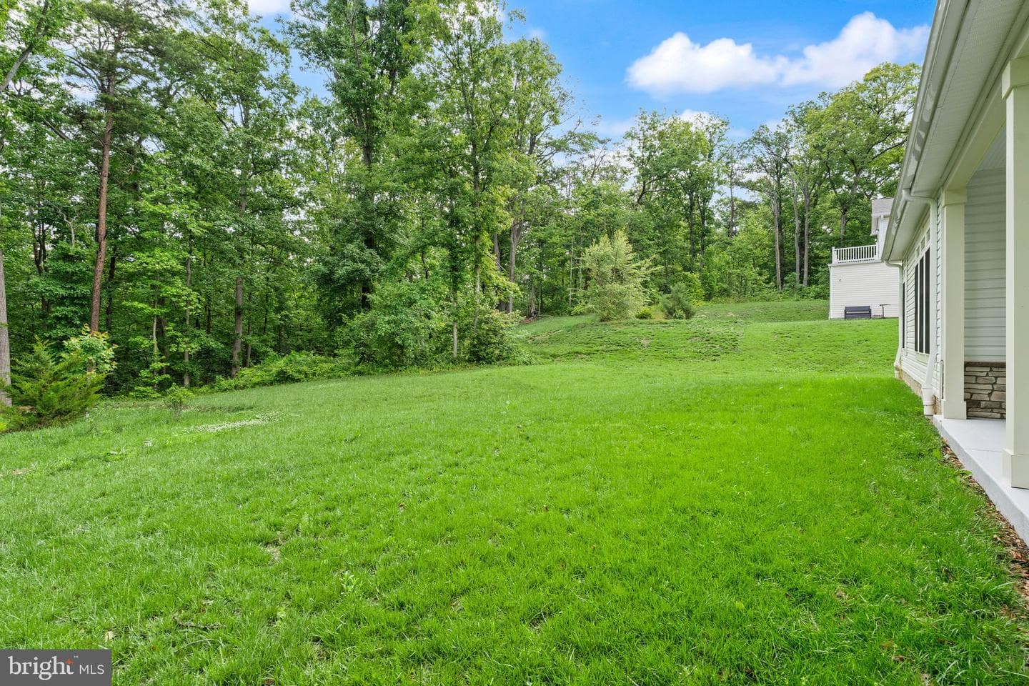 6468 Windham Avenue photo 98