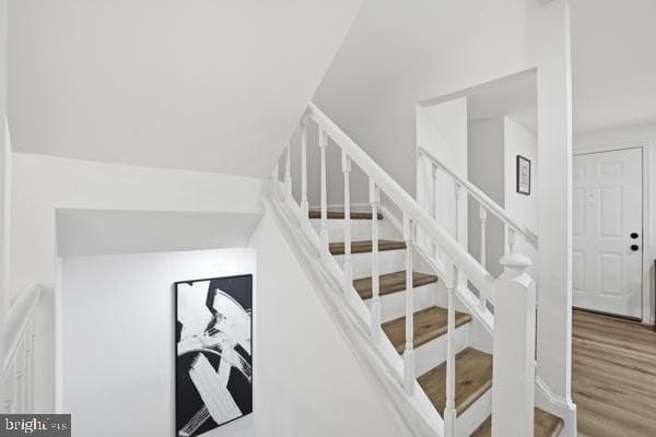 6606 Birchleigh Way photo 10