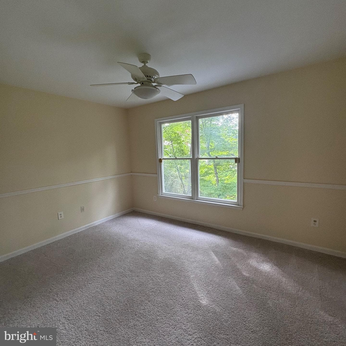 3502 Holly Road photo 19