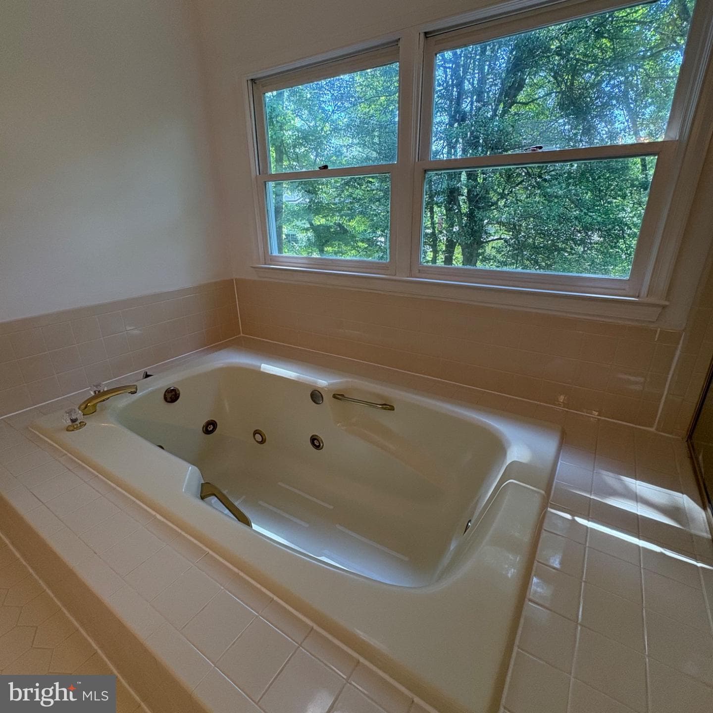 3502 Holly Road photo 46