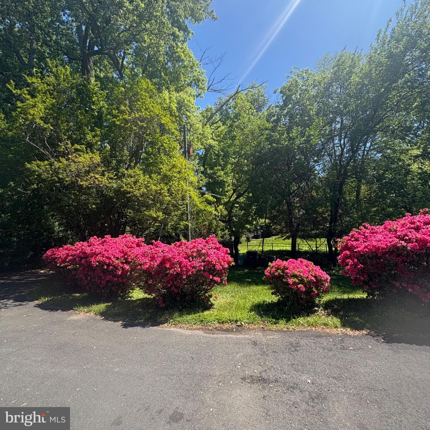 3502 Holly Road photo 52