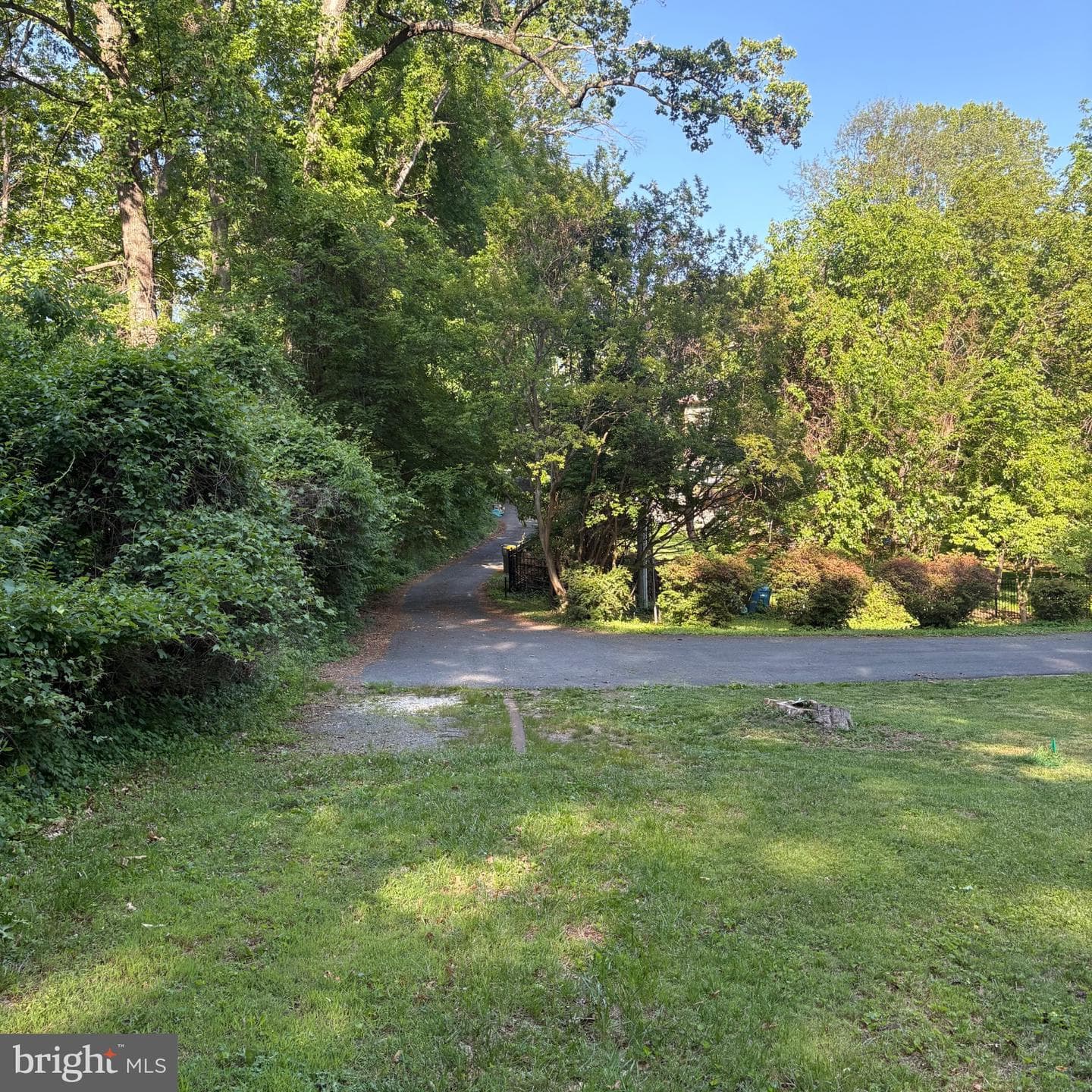 3502 Holly Road photo 54