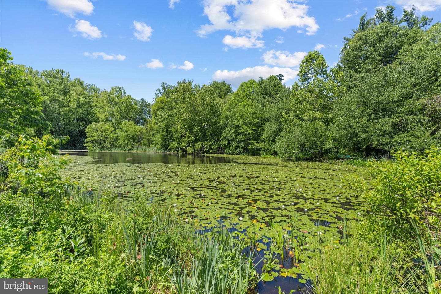 5310 Indian Rock Road photo 43