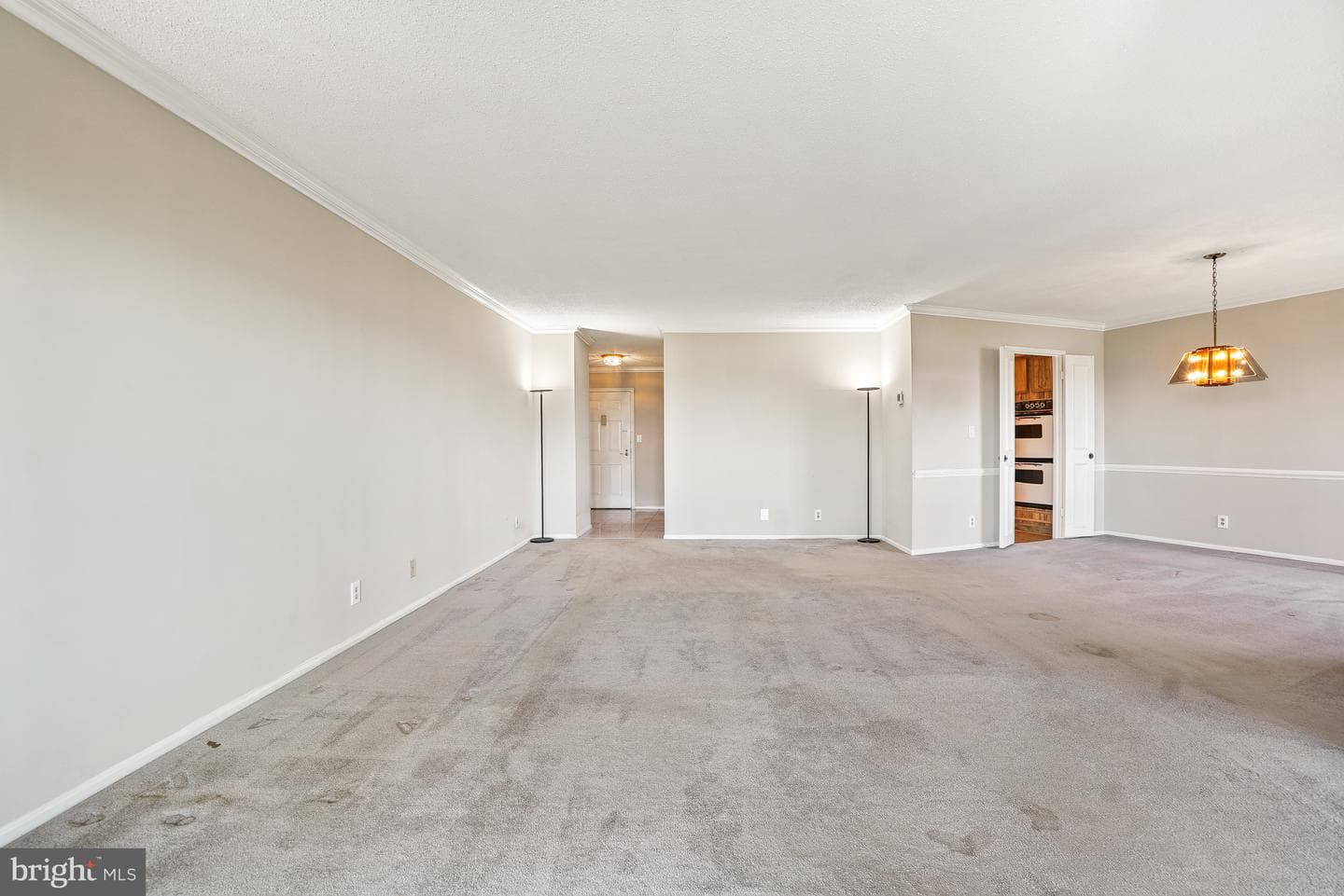 5903 Mount Eagle Drive #1504 photo 11