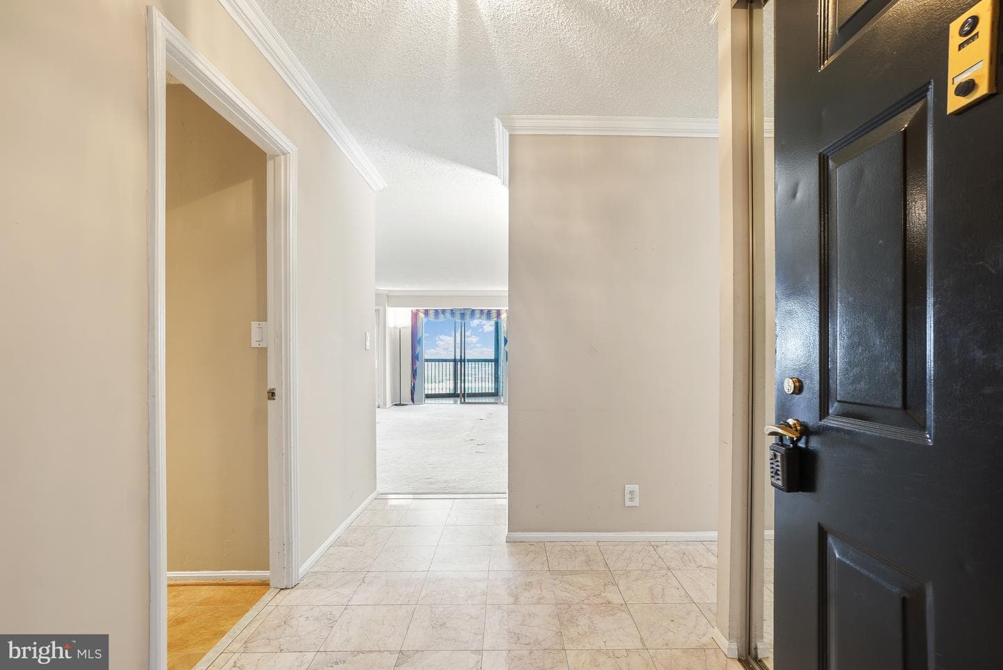 5903 Mount Eagle Drive #1504 photo 2