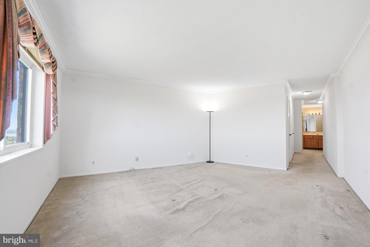 5903 Mount Eagle Drive #1504 photo 23