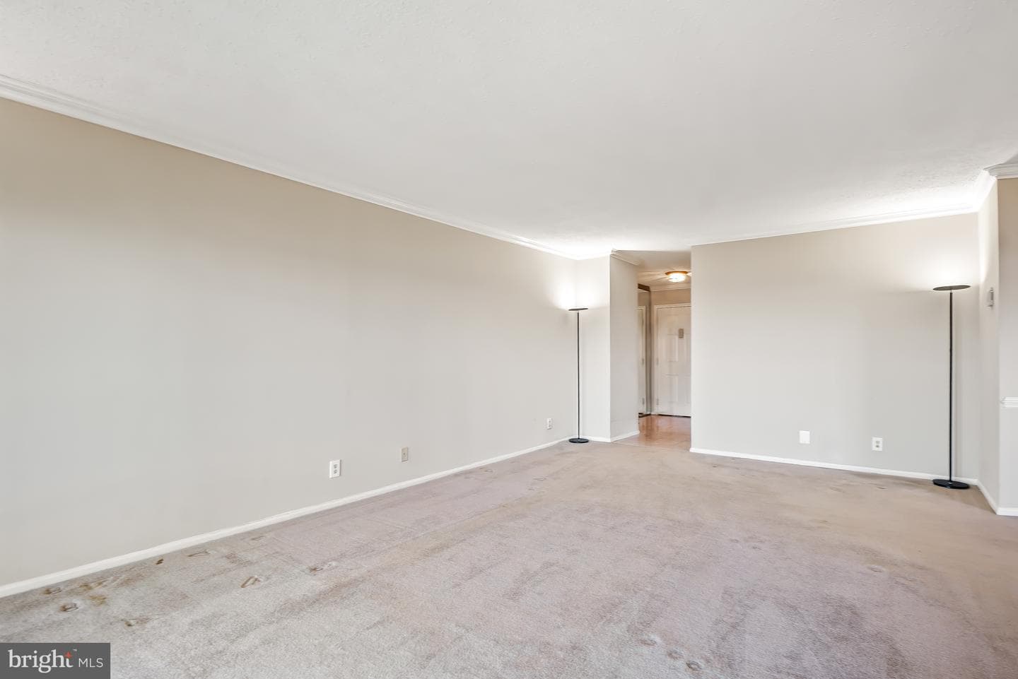 5903 Mount Eagle Drive #1504 photo 9