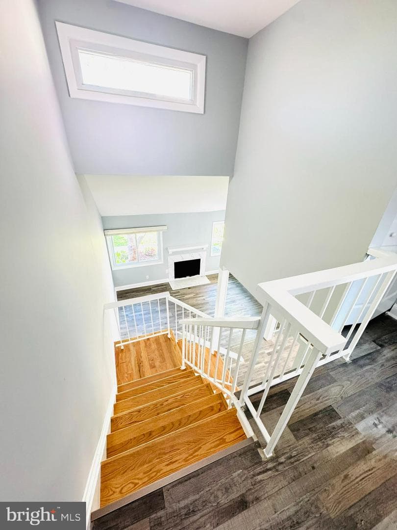 13386 Hungerford Place photo 21