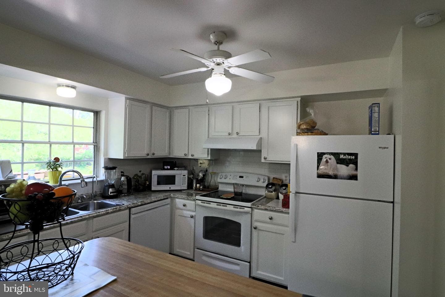 14904 Lady Madonna Court photo 28