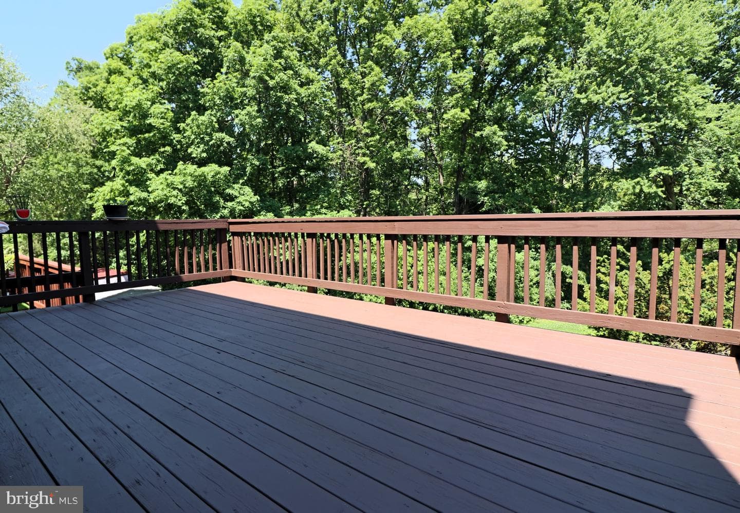 14904 Lady Madonna Court photo 37